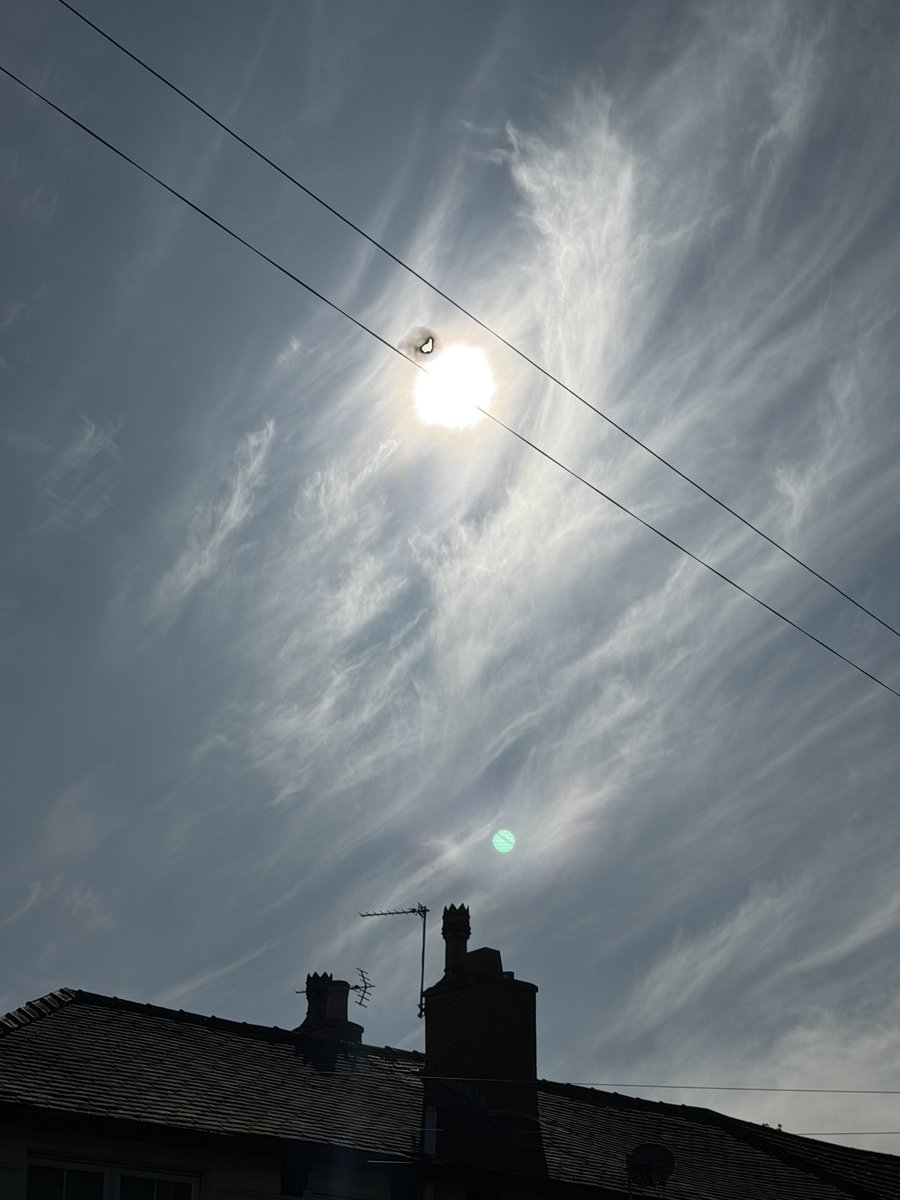 Kathryn Hall (The Friendly Taxi Driver) tweet media