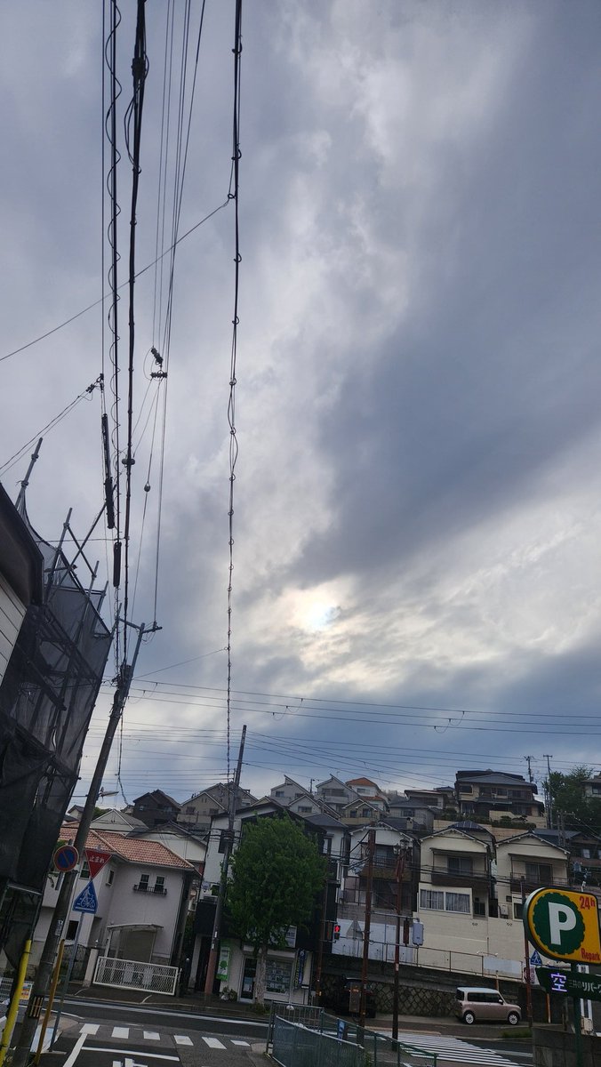 mikipoko11's tweet image. 駅まで下り坂徒歩20分🚶‍♀️
　　#イマソラ　　#Kobe 
#TLを花でいっぱいにしよう
#アルクライド