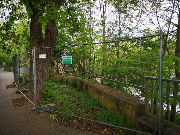 yolanda schultes tweet media