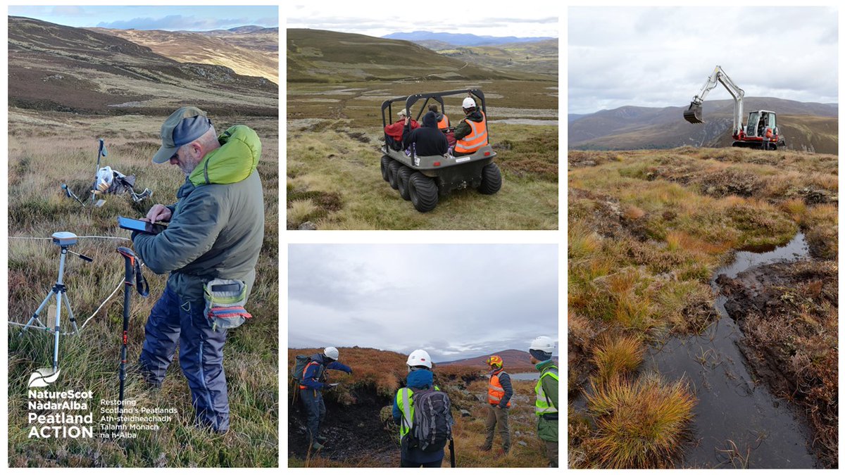 Peatland ACTION tweet media