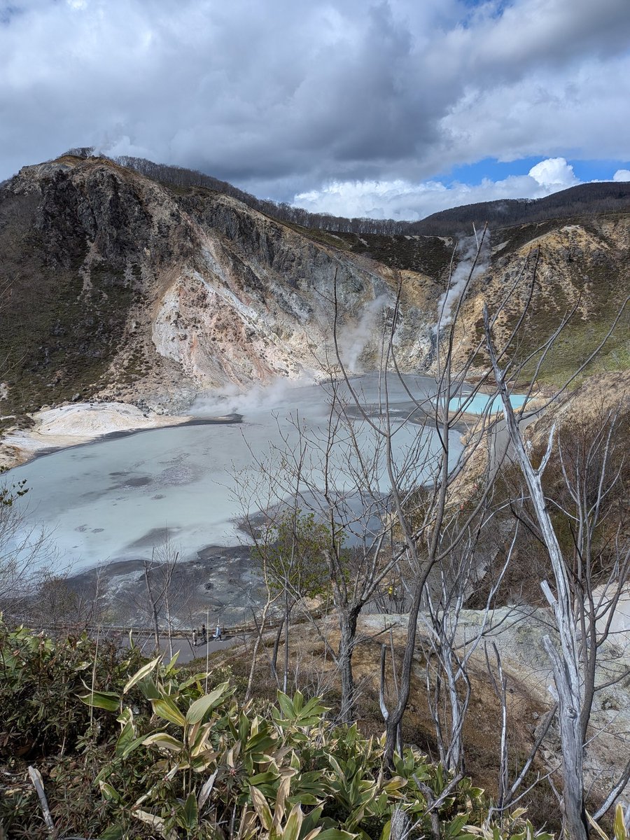 けいこ@函館の女 tweet media