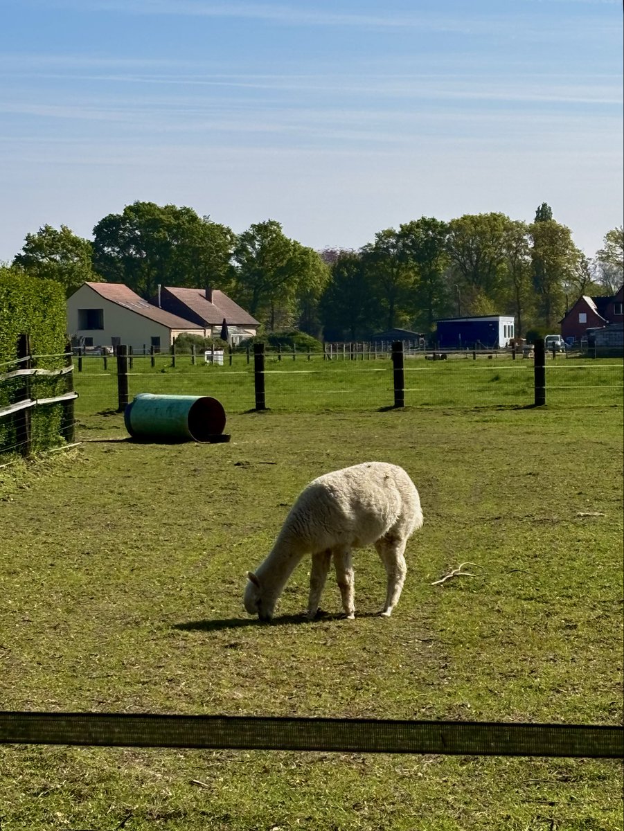 Fiona Gallagher tweet media