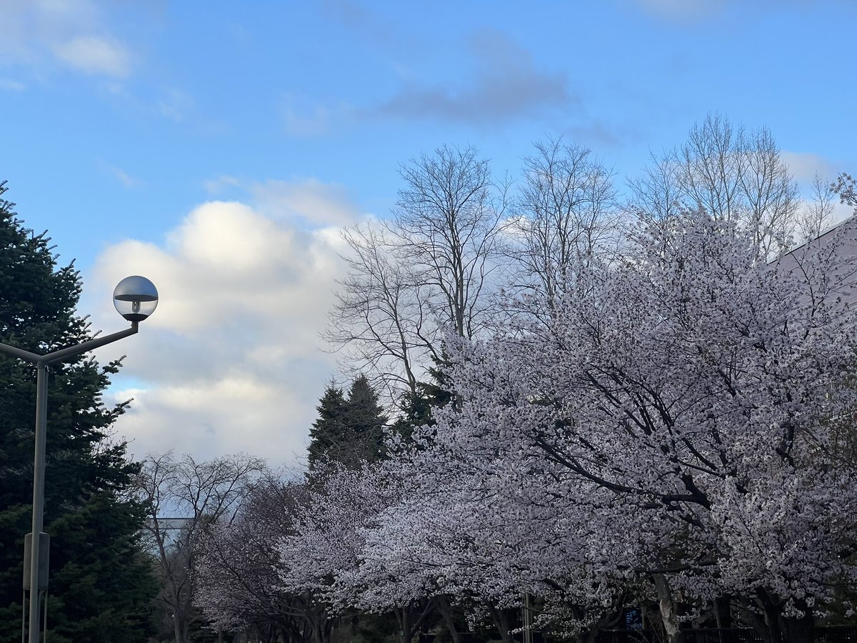 はやくん tweet media