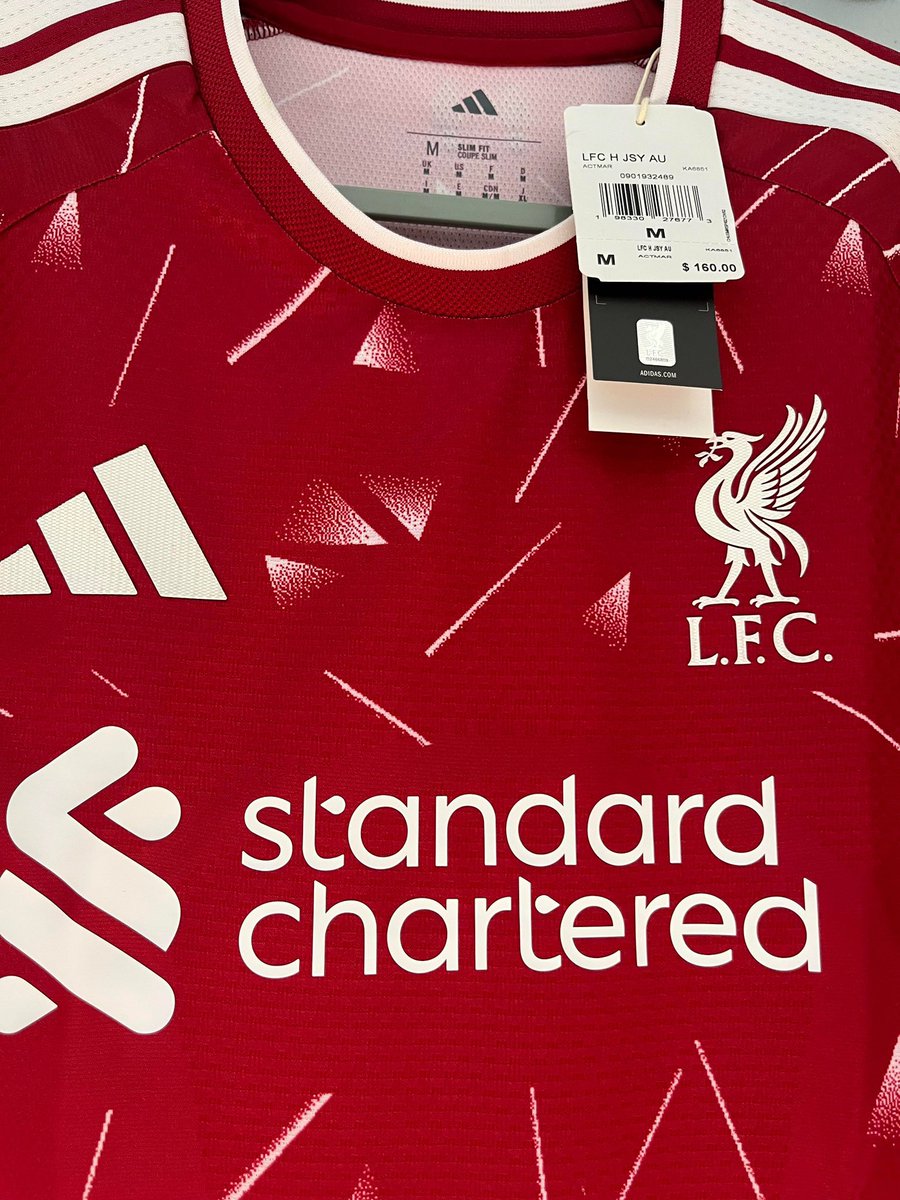 Braden (Fan) 🐦‍🔥 tweet media