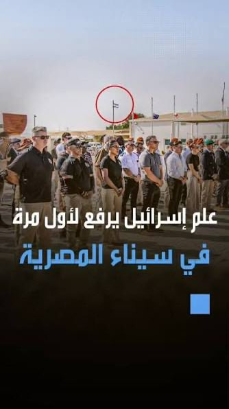 عبد المجيد tweet media