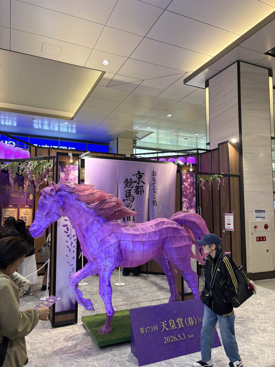 shunwith_kinki's tweet photo. #京都競馬の間 https://t.co/OkSui2o81f