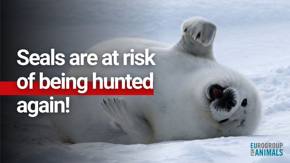 Eurogroup For Animals tweet media