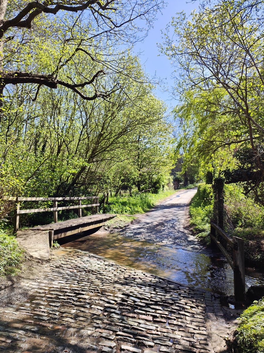 Matedwards7's tweet image. Finally, the ford at Smallbridge Entry near Bures. I'd been here the week before, the water was lower yesterday.
#Suffolk