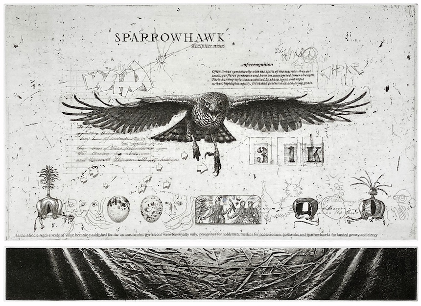 FidraFineArt's tweet image. Printmaking

Open 11-4 Tue-Sat, 12-4 Sun

Alfons Bytautas, June Carey, Marguerite Carnec, Joseph Davie, Stuart Duffin, Henry Jabbour, Marion MacPhee, Murray Robertson, Pamela Tait &amp;amp; Alasdair Wallace

Stuart Duffin RSA
The Warrior's Spirit
Etching
28x39cm 

#sparrowhawk #etching