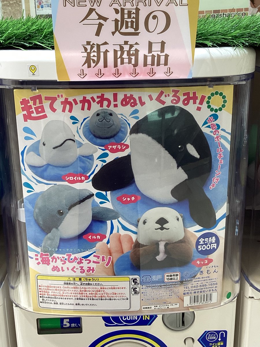 🌷ガシャココ和歌山MIO入荷商品🌷 🦭NTC MONO 海からひょっこり