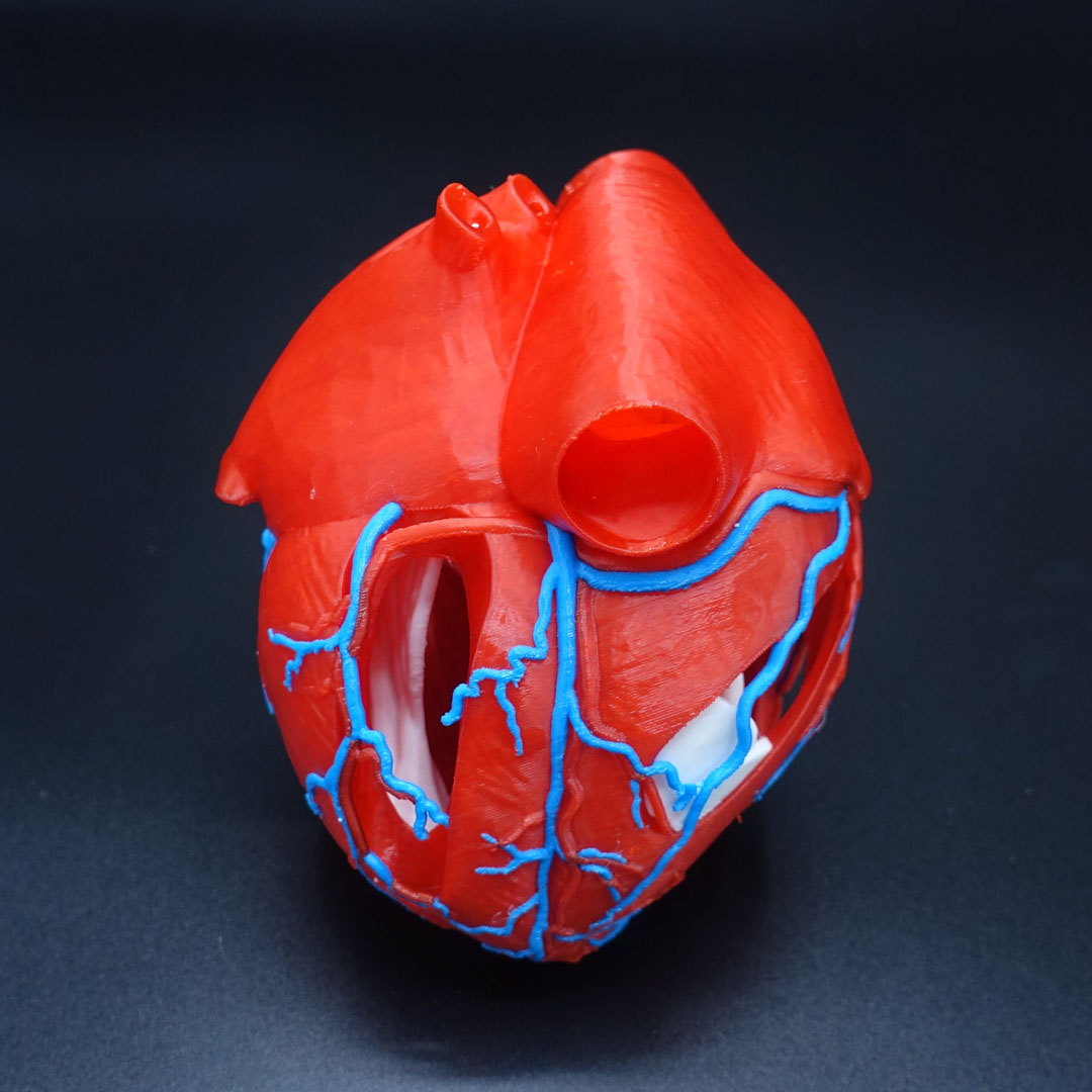 cdsoftAU's tweet photo. We’ve been testing the new @ff3dprinters Creator 5 Pro and we’re seriously impressed! 🔥

Multi-colour printing is faster ⚡, cleaner ✨, and far less wasteful ♻️ thanks to seamless tool switching—no heavy purging needed.

Pre-Orders are now live 👉 https://t.co/FonDhxde4D https://t.co/KwbEozGwXB