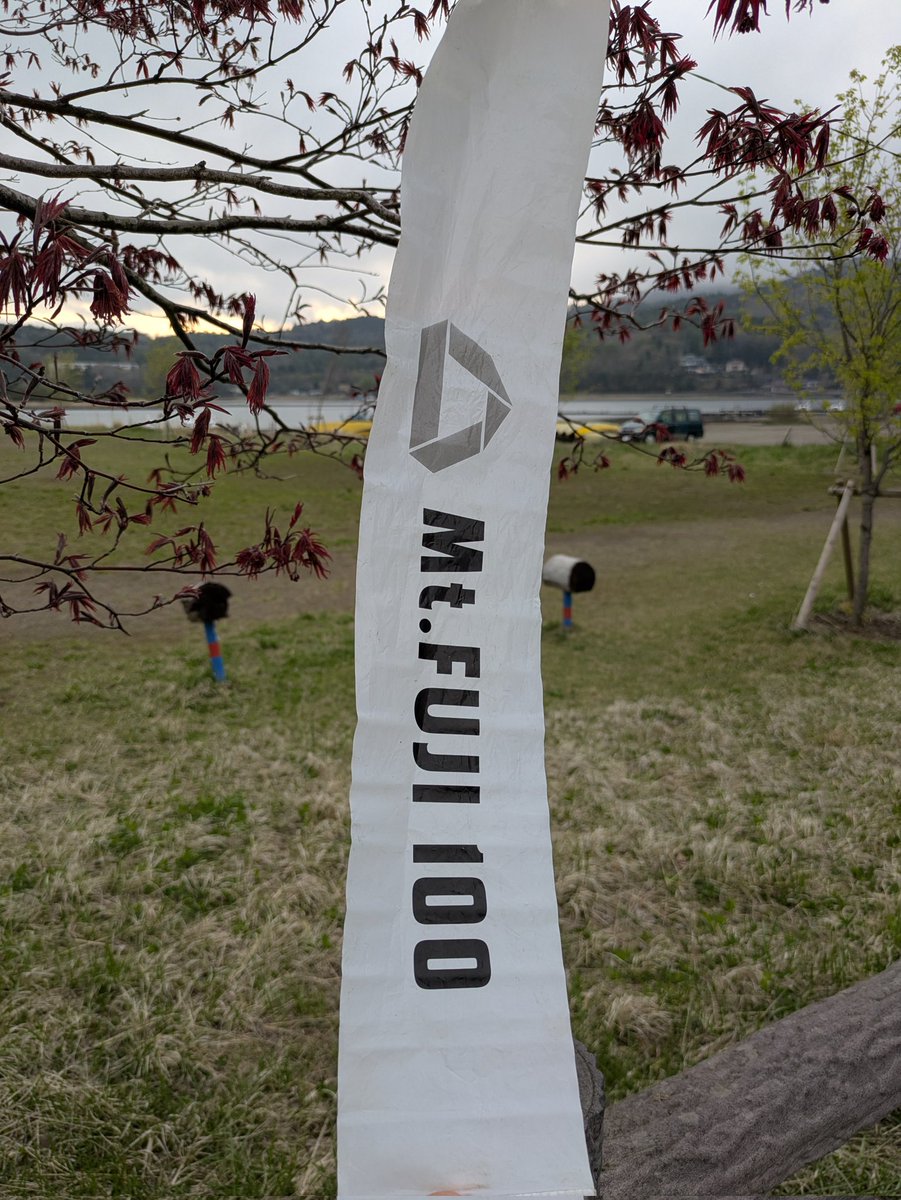 TAKO@「常時」脱臼してるトライアスリート tweet media