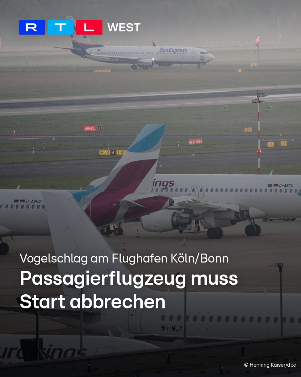 RTLWEST's tweet image. Ein #Vogelschlag hat am #Flughafen #Köln/Bonn für einen abrupten Startabbruch gesorgt. Die Maschine vom Typ #Airbus #A320 war am Donnerstag (23.04.) auf dem Weg nach #Wien, als die Lufttiere in ein #Triebwerk gerieten. An Bord befanden sich 79 Passagiere. Der Pilot brach den