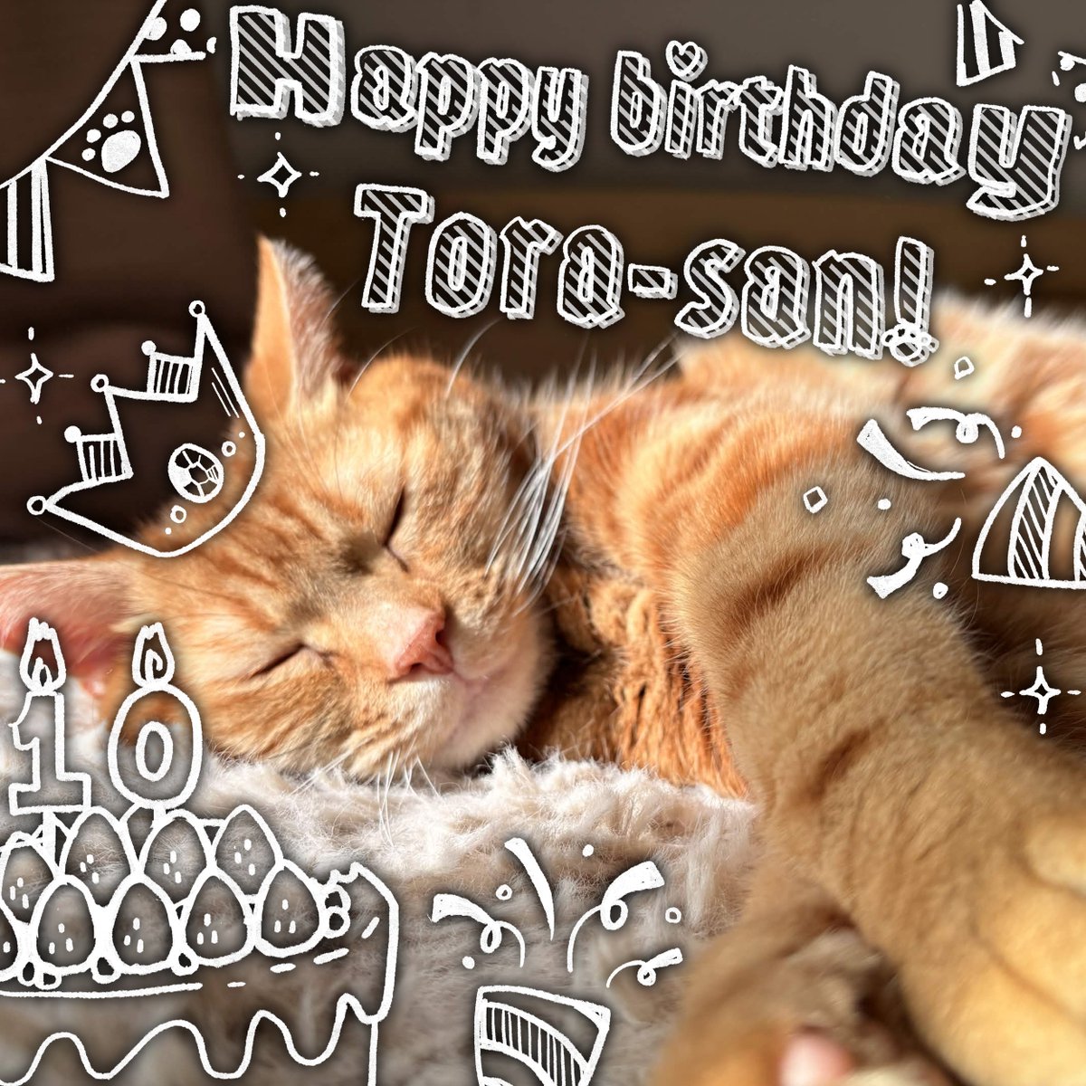 Noena🐏 tweet media