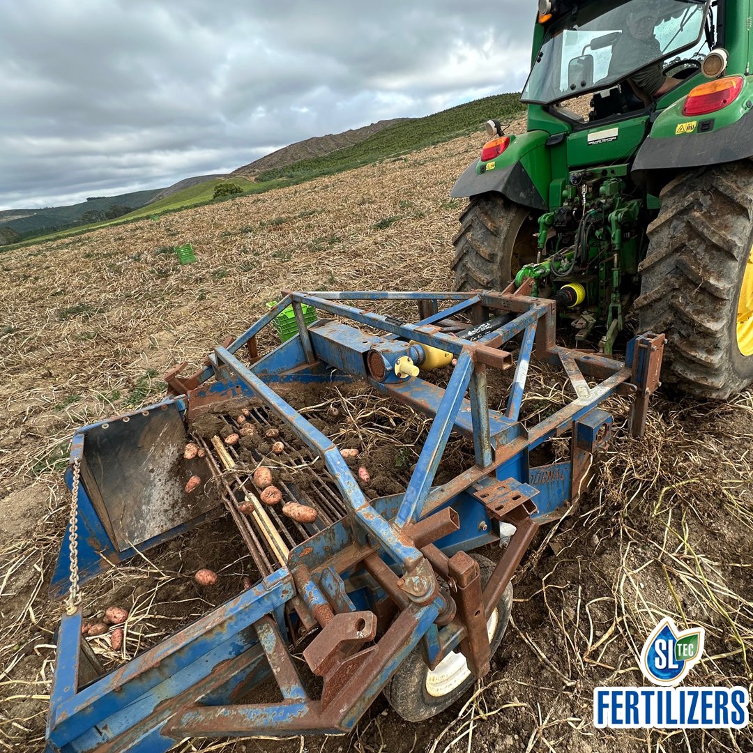 sltecfert's tweet image. Lawrence was recently out in Branxholm, NE Tasmania with John Cresswell harvesting test plots from AquaLIME38 trials in processing potatoes. We also found AquaLime was ideal for marking out assessment plots! Looking forward to crunching the numbers #potatoes #Tasmania #Potatolink