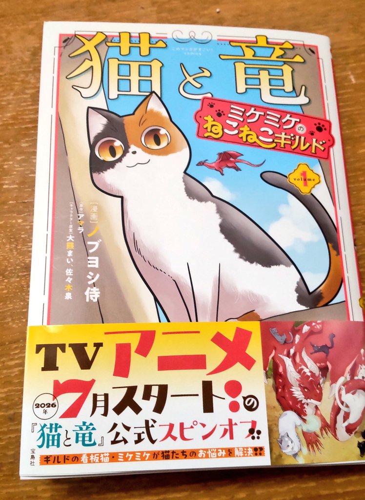 猫と竜』公式【TVアニメ7月放送開始！】 (@NekoRyuu_PR) / Posts / X