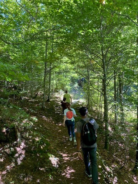 ValeriaVescina's tweet image. Looking for a #writingretreat? I’m holding one in June and another in September. To learn more and to book: valeriavescina.com/teaching/writi… #writing #WritingCommunity #writingworkshop #holidays #writingcourse #writersretreat #writingadvice #writingtips #writerslife