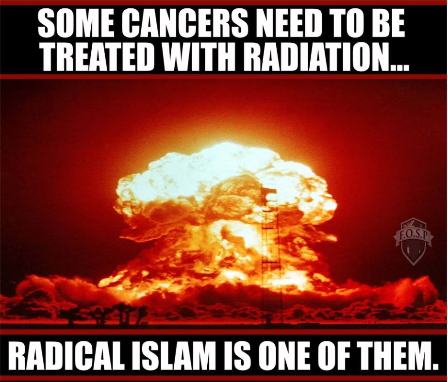 🇦🇺 Bushy 🇦🇺 tweet media