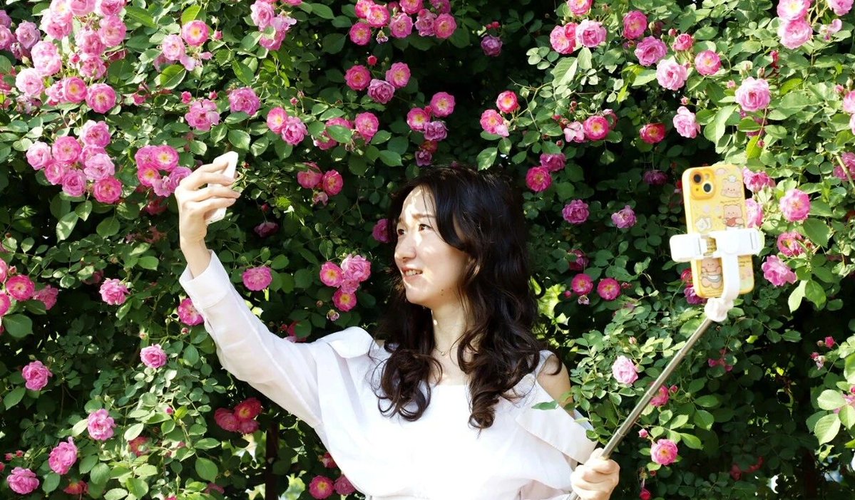 DiscoverAnyang's tweet image. #Breeze Drifts Over the Wall, Gentle Roses Bloom All Over Anyang~ 🌸
Lush roses cluster on #city walls, and twisting vines bring full spring atmosphere. Cute murals and lovely decorations brighten the scenery. What a perfect popular #spring check-in spot.
#Travel #Tour