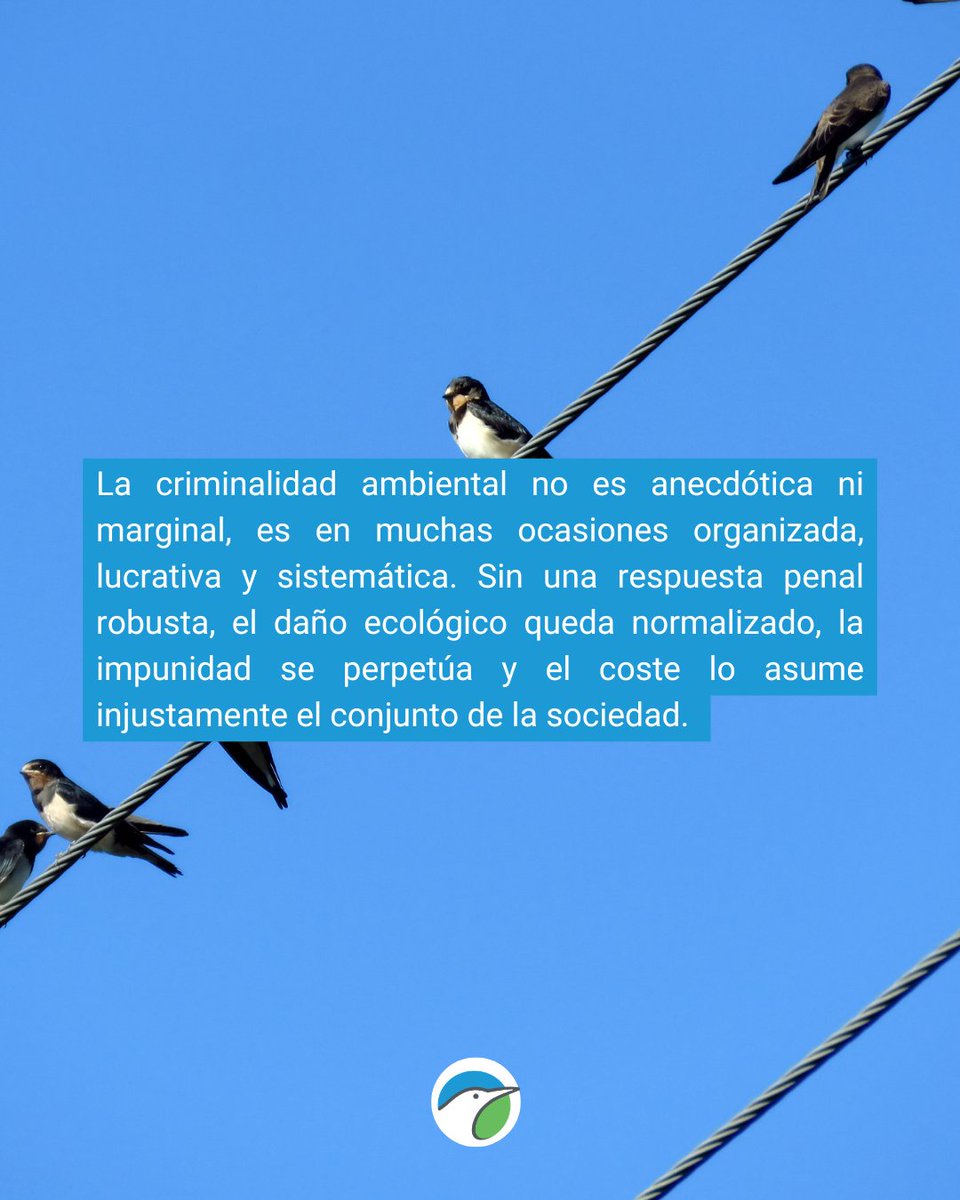 SEO/BirdLife tweet media