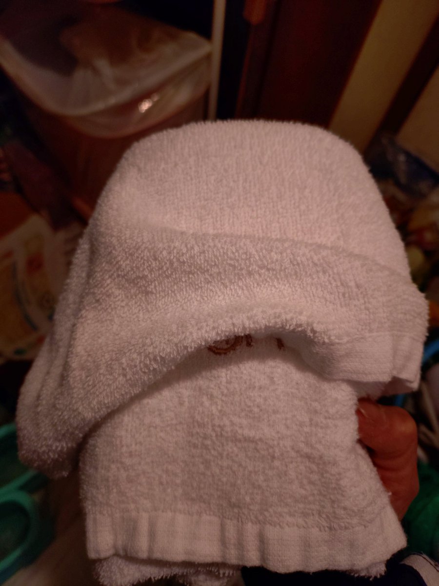 Maki19792270's tweet image. 息子と娘が帰り母は片付け
車の中にお宝！
✨️マーシーの汗付きタオル✨️
マニアにはたまらない🤤
意地悪な母は
ゴミ箱に捨てようかしら🤣
きよそばで食べ過ぎて
でぶちゃんマーシー🐷
#Mtv
#マーシー
#かおりん
#心霊検証