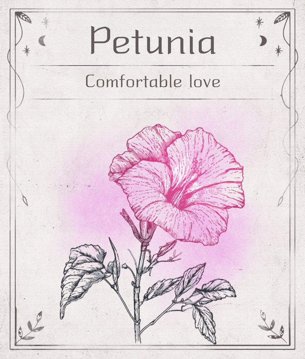 Jo Sodikin. tweet media