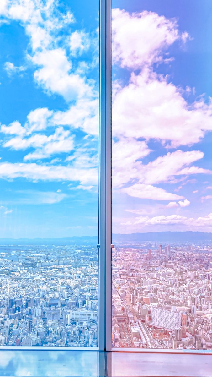 空に青。 tweet media