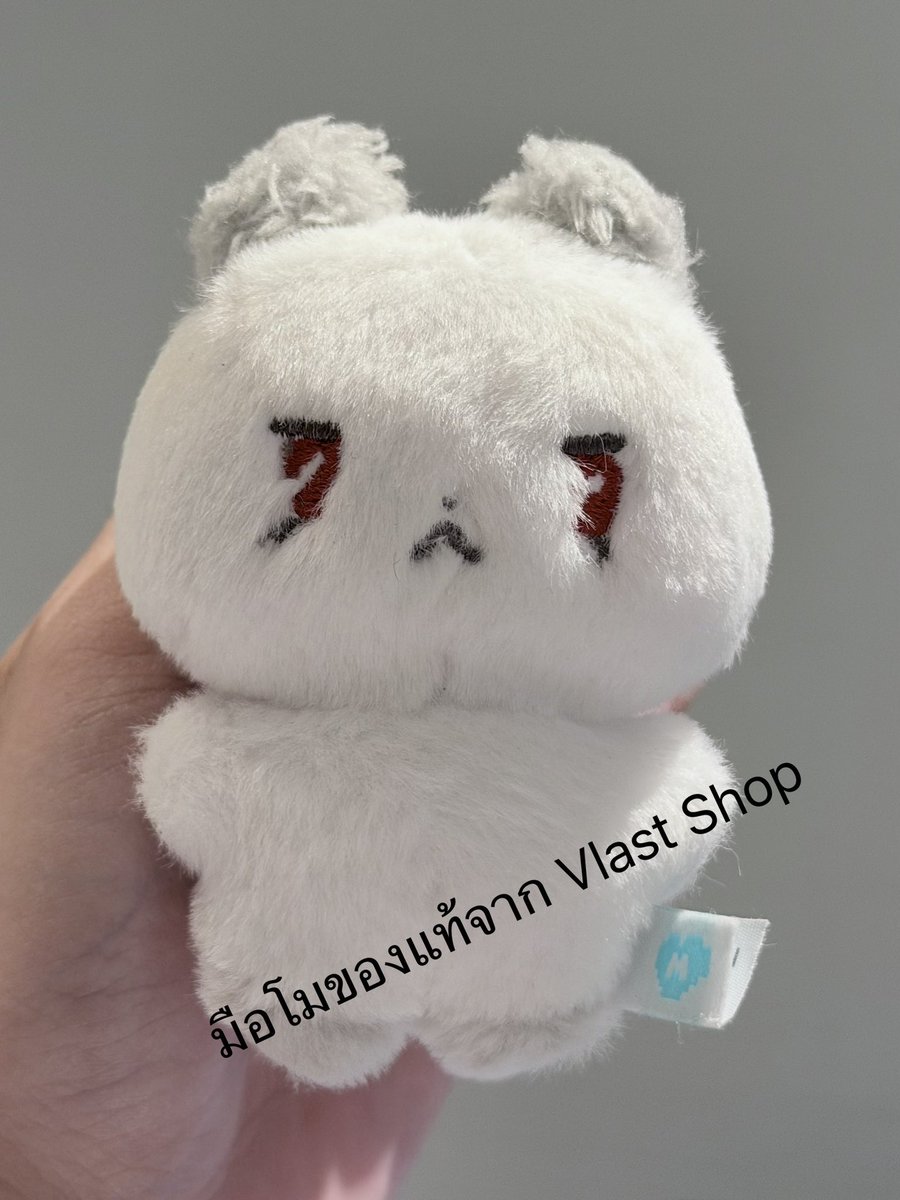 [ LEAFEYES ] tweet media