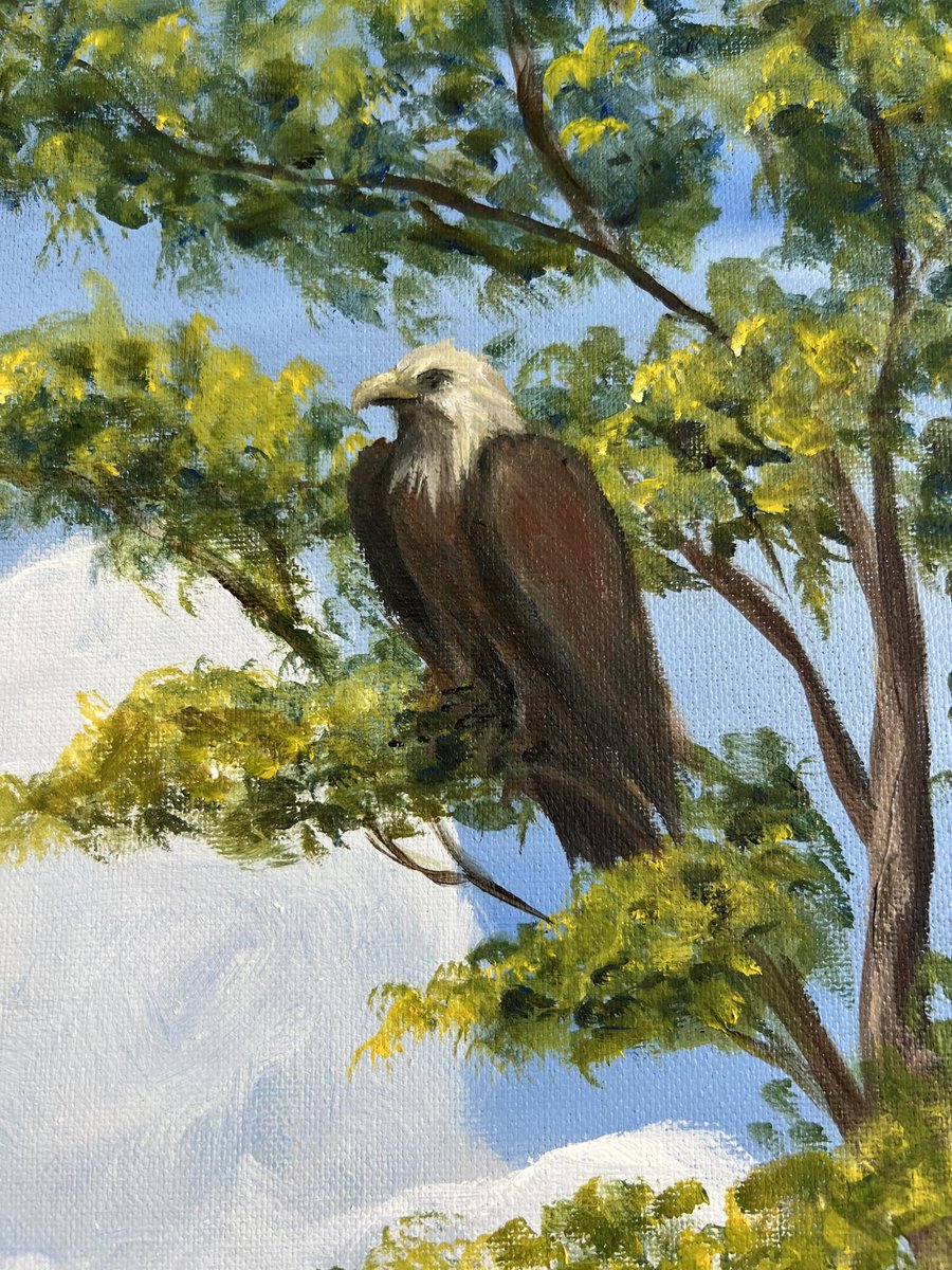 Eva Weiss tweet media