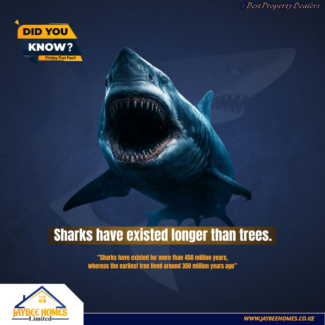 HomesJaybe90562's tweet image. Sharks were ruling the oceans before trees even existed… let that sink in.
Over 450 million years of survival—now that’s what you call staying power.
...If sharks were a business, they’d be the original market leaders💯.

#FunFactFriday #StayCurious #FridayVibes #JaybeeHomes