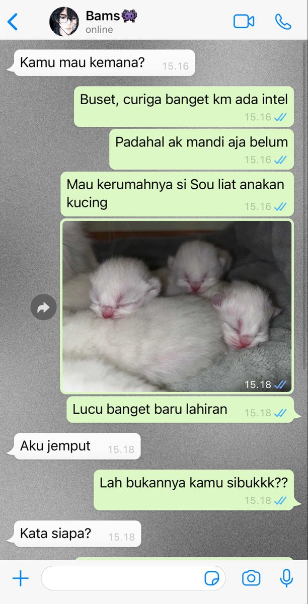 Mikki CF22 H-09🐟 tweet media