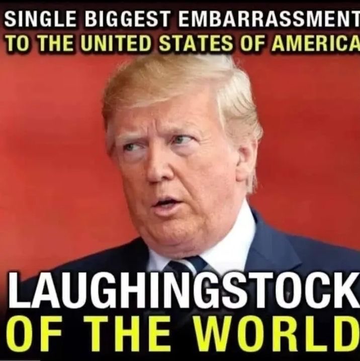 Stralyafella tweet media