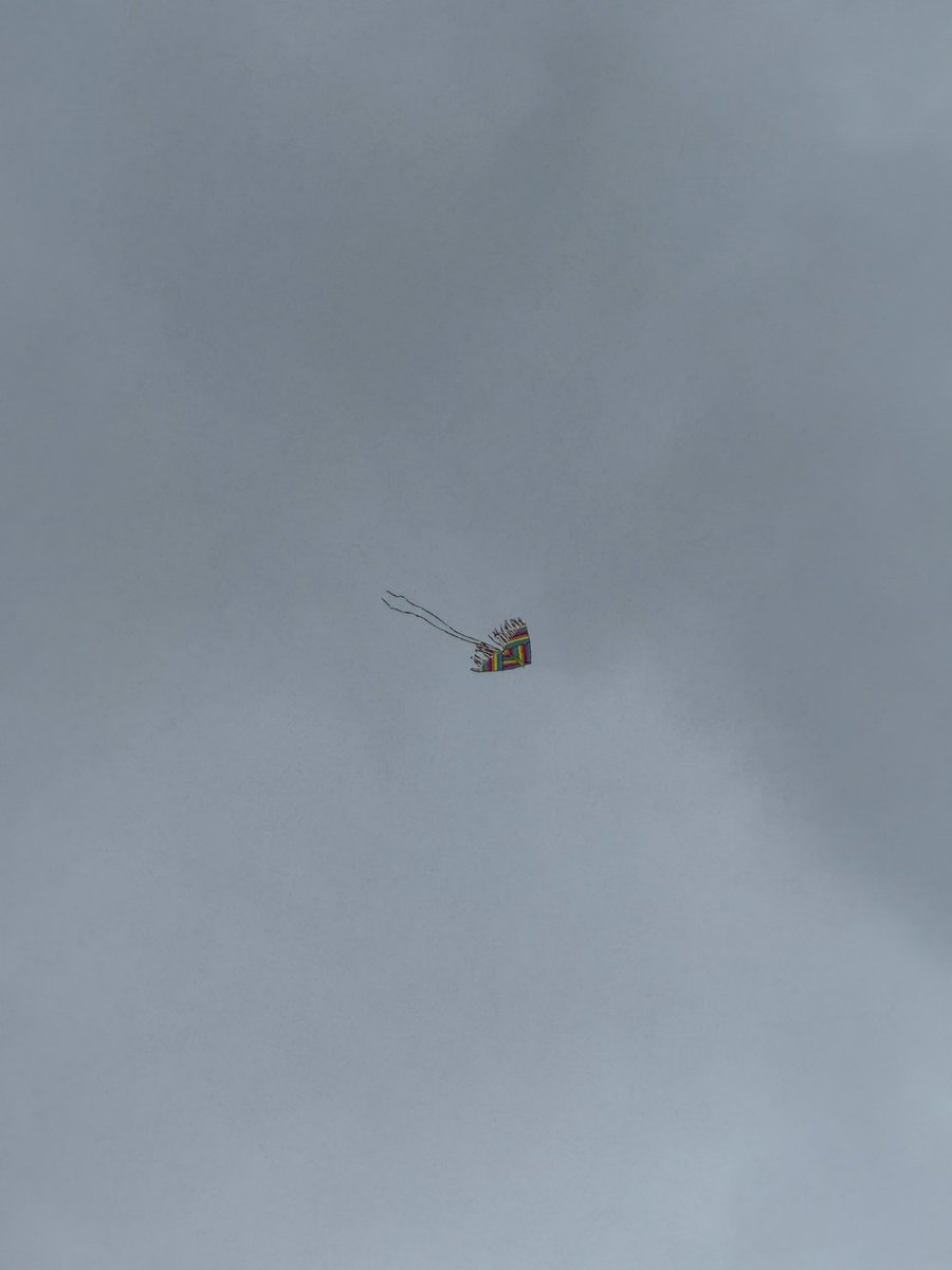 زامناسور آبجی زامغول tweet media