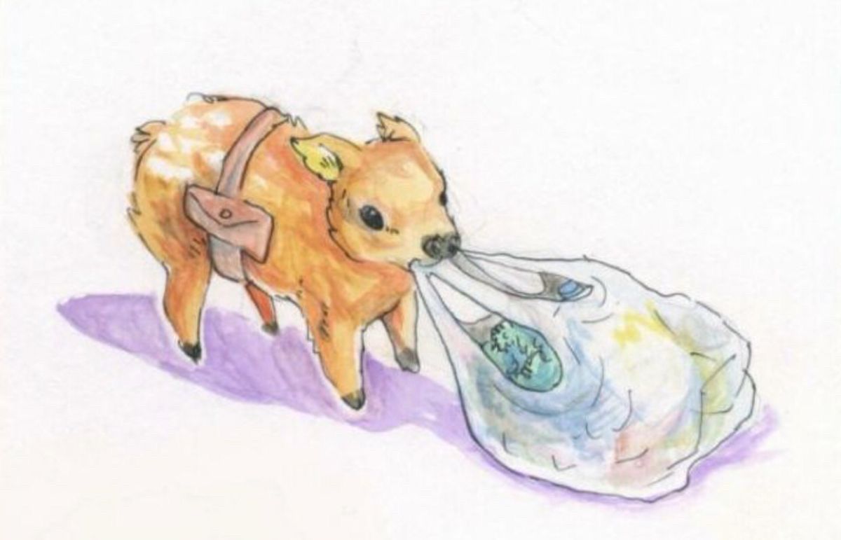 horse dentist tweet media