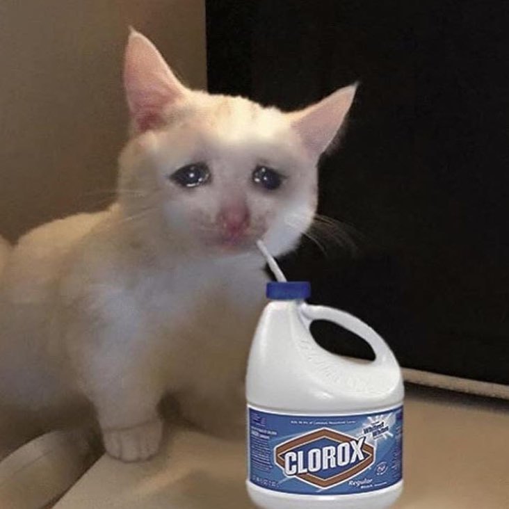 렌토 (@lento_rabbit) on Twitter photo 