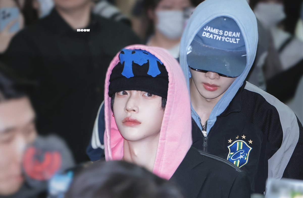 meow🐈‍⬛ tweet media