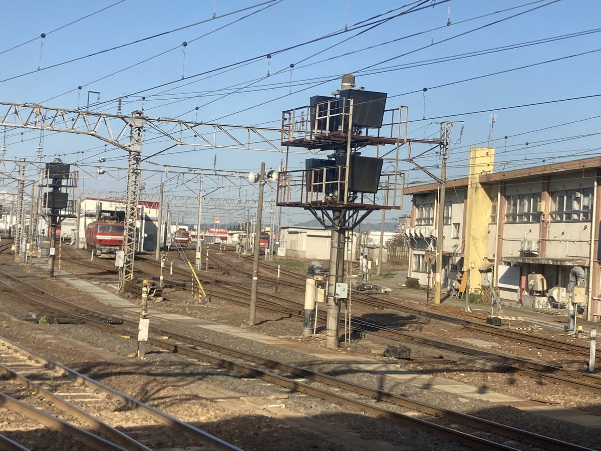 いまムー tweet media