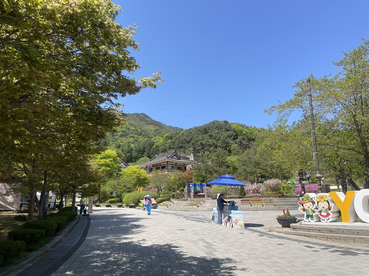 디기다 tweet media