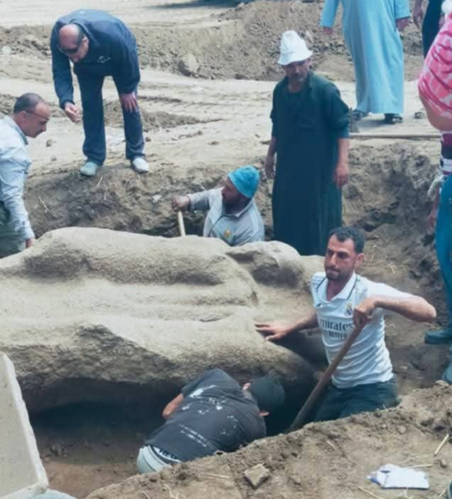 إياد الحمود tweet media