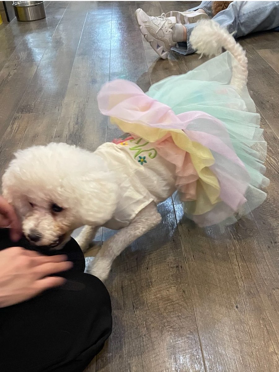 NPO法人LoveFive tweet media