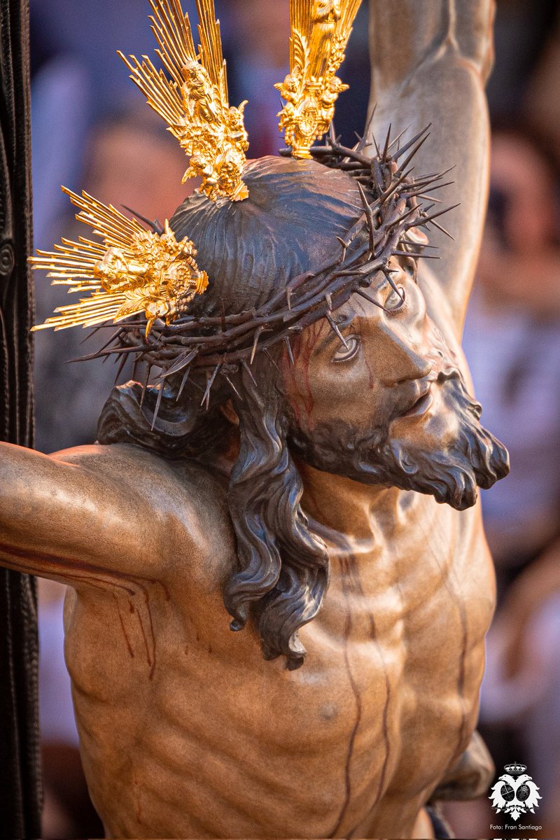 El Cachorro tweet media