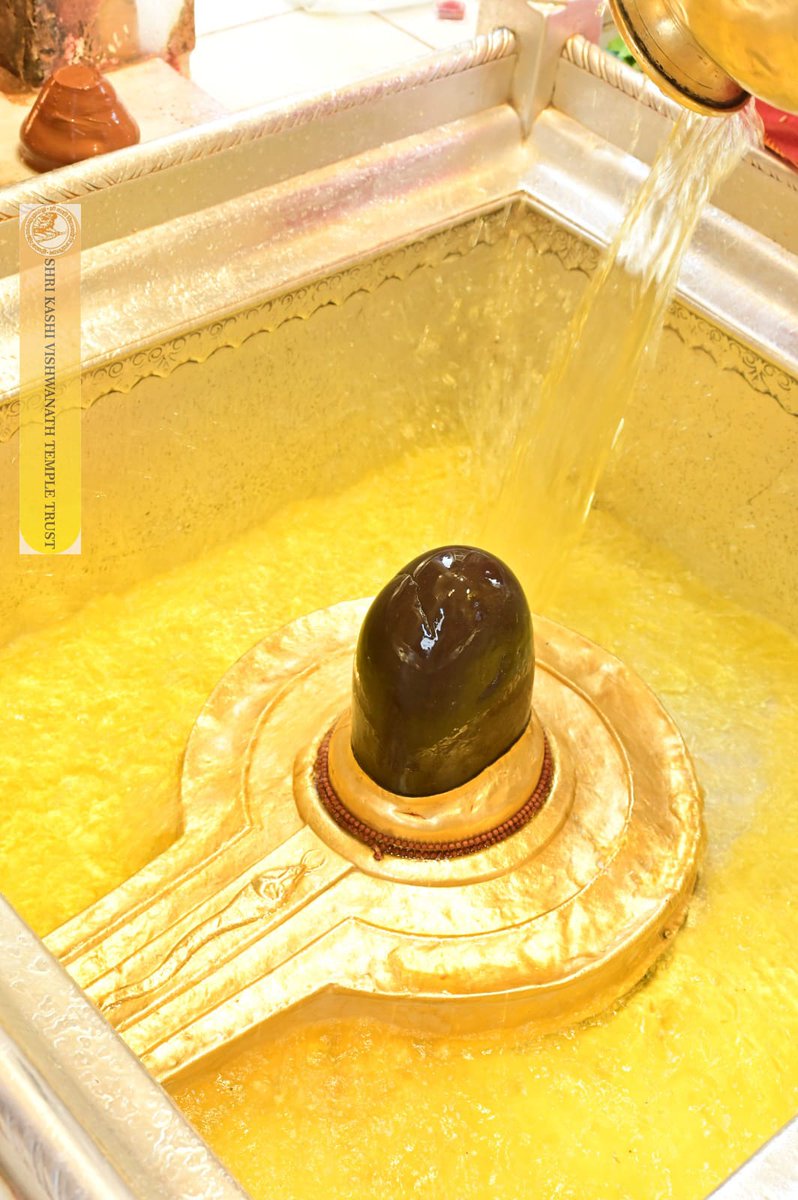 Shri Kashi Vishwanath Temple Trust tweet media