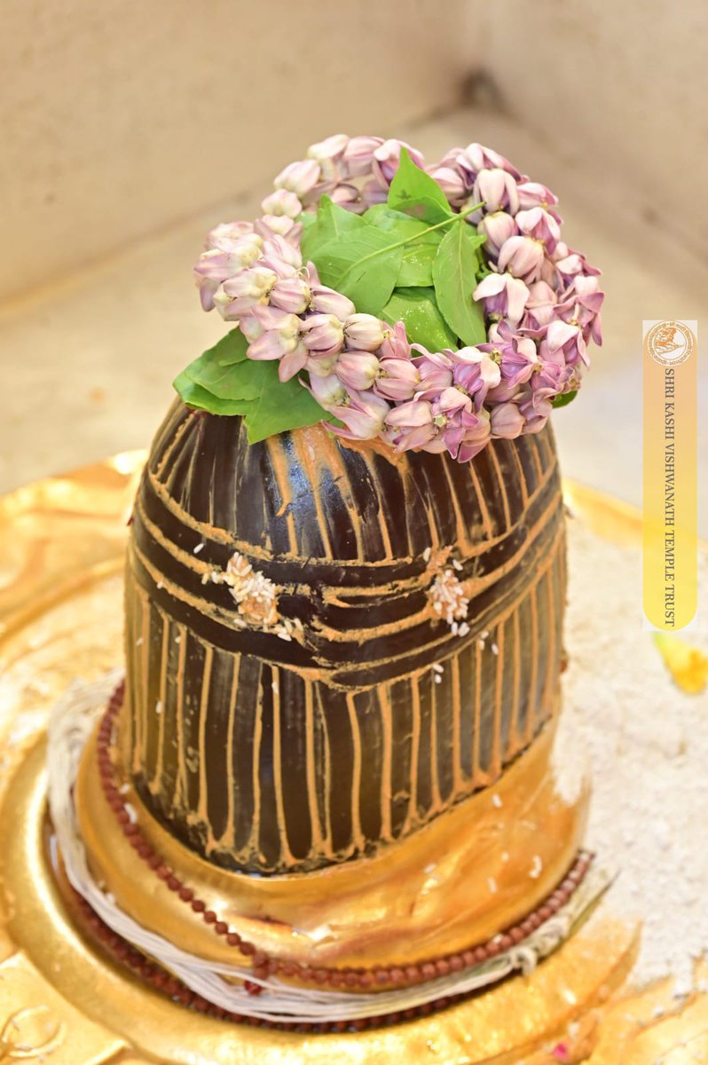 Shri Kashi Vishwanath Temple Trust tweet media