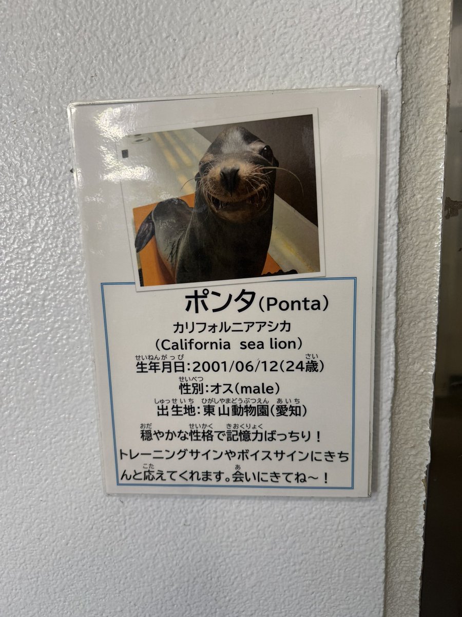 ぽんた！ tweet media