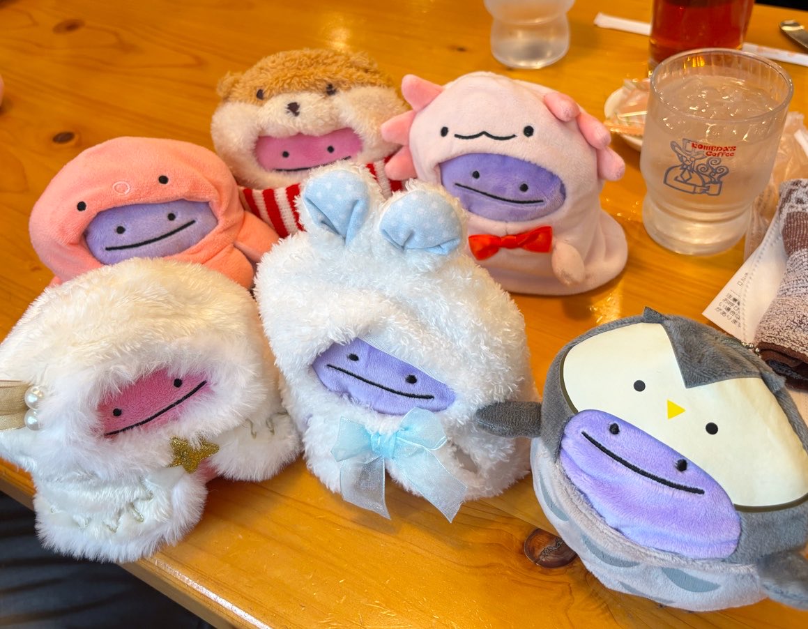 メタモン達、今日は初めての全員集合でのお出掛けでした
楽しかったかな？？？