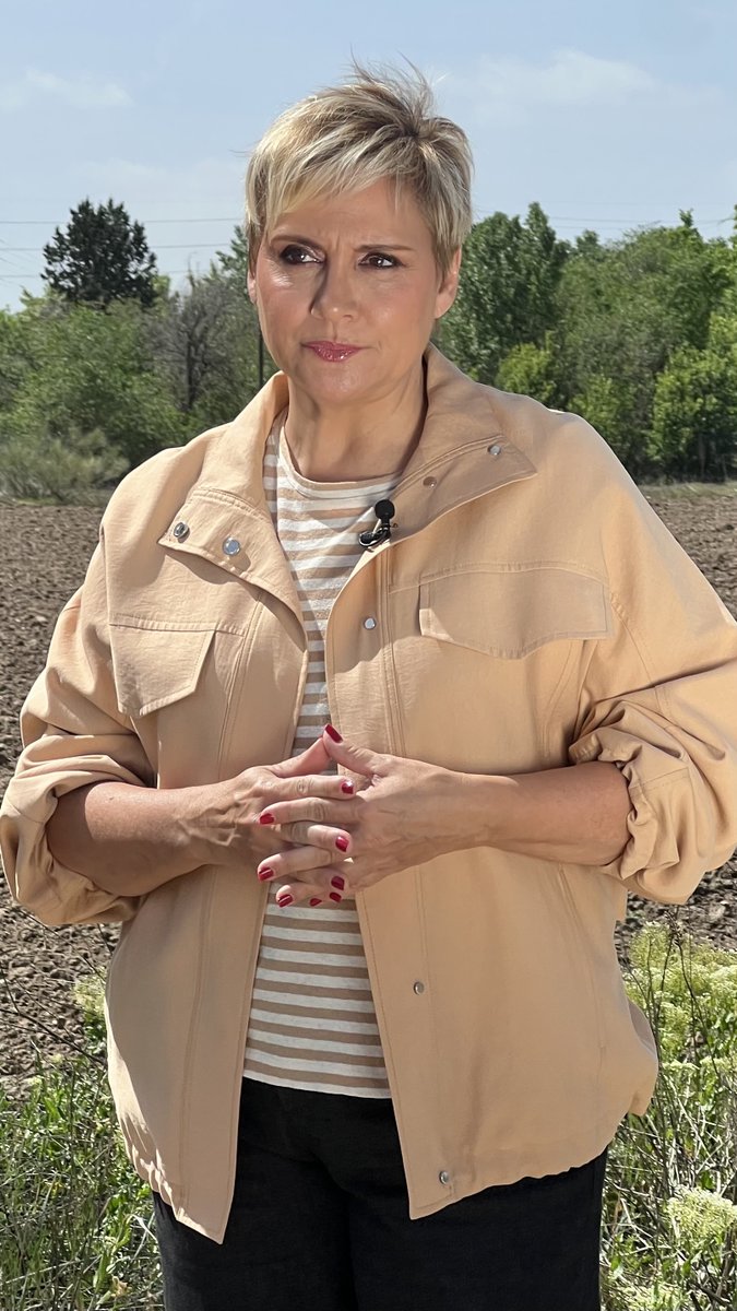 Equipo de Investigación tweet media