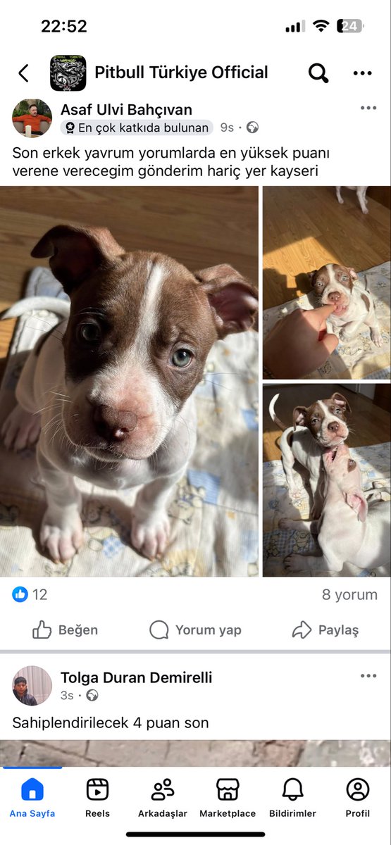 babyshark tweet media