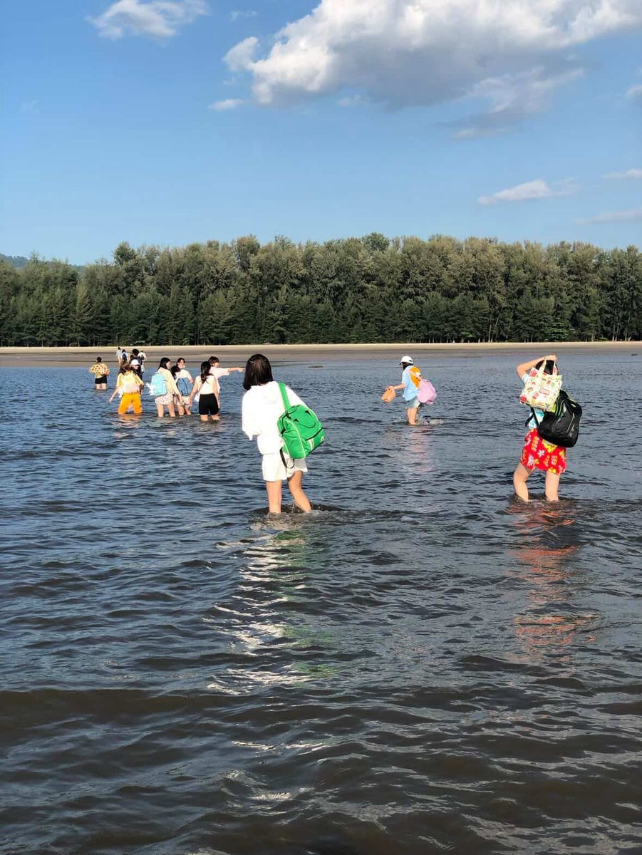 (sleep)PUPE’s tweet media