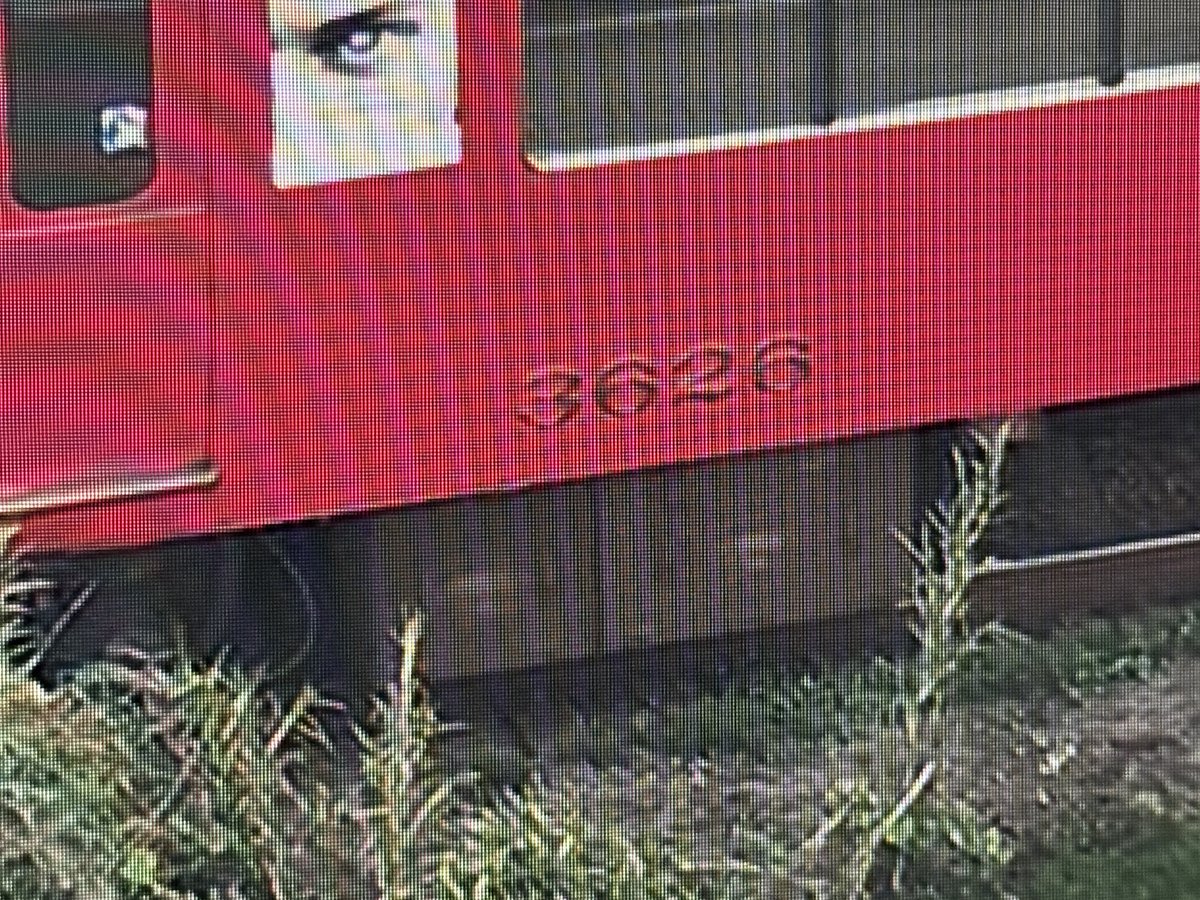 グロケン😈 tweet media