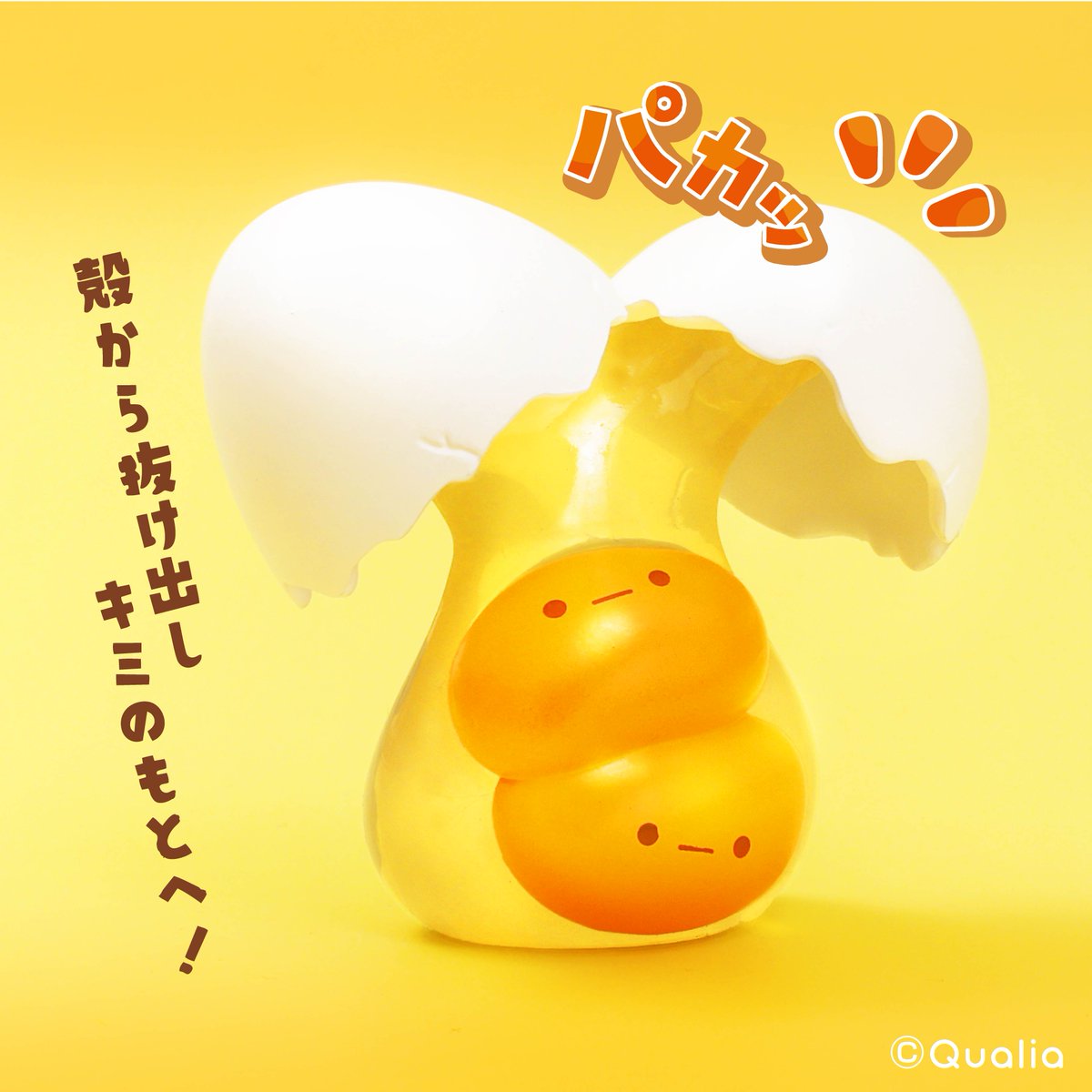 Qualia(クオリア)公式 tweet media